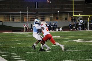 November 8 2019 IMG_9279671